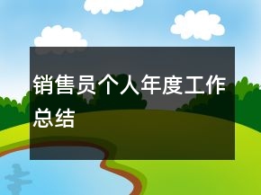 销售员个人年度工作总结