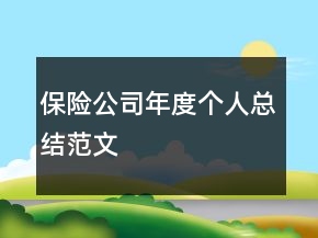 保险公司年度个人总结范文