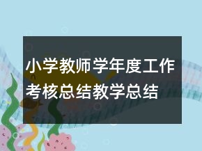 小学教师学年度工作考核总结教学总结