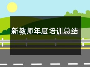 新教师年度培训总结