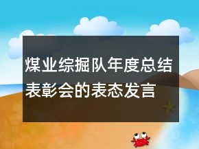 煤业综掘队年度总结表彰会的表态发言稿
