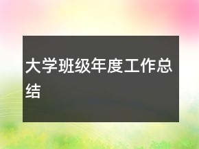 大学班级年度工作总结