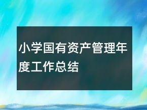 小学国有资产管理年度工作总结