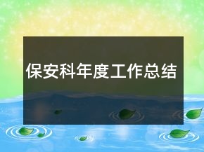 保安科年度工作总结