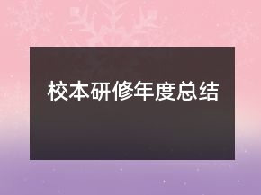 校本研修年度总结