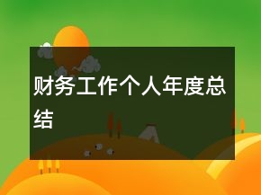 财务工作个人年度总结