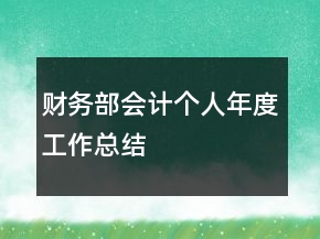 财务部会计个人年度工作总结