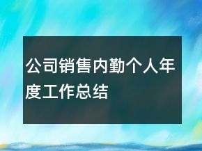 公司销售内勤个人年度工作总结