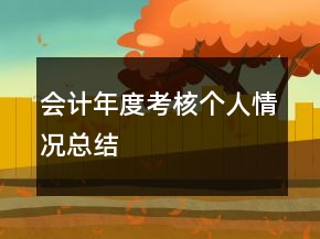 会计年度考核个人情况总结