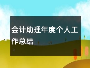 会计助理年度个人工作总结