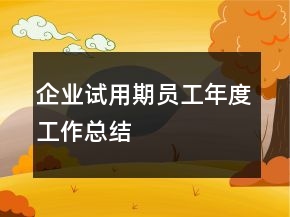 企业试用期员工年度工作总结