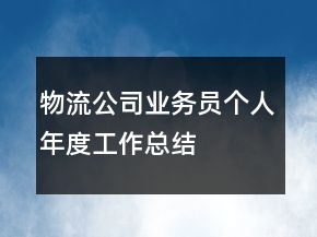 物流公司业务员个人年度工作总结