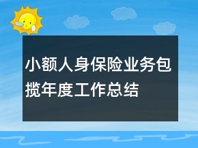 小额人身保险业务包揽年度工作总结