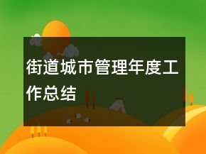 街道城市管理年度工作总结