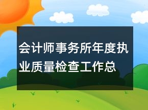 会计师事务所年度执业质量检查工作总结