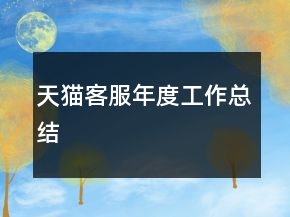 天猫客服年度工作总结