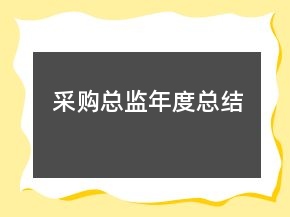 采购总监年度总结