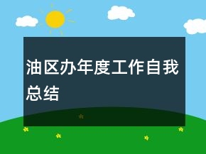 油区办年度工作自我总结