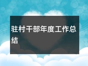 驻村干部年度工作总结