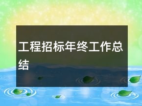 工程招标年终工作总结