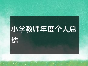 小学教师年度个人总结