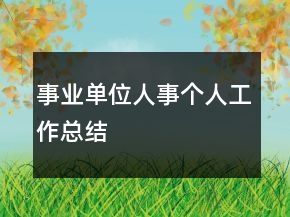事业单位人事个人工作总结