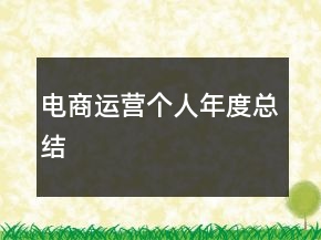电商运营个人年度总结