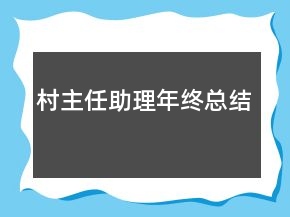村主任助理年终总结