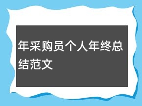 年采购员个人年终总结范文