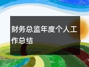 财务总监年度个人工作总结