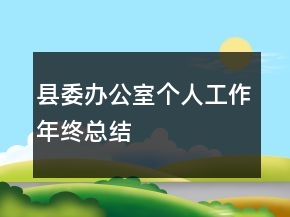 县委办公室个人工作年终总结