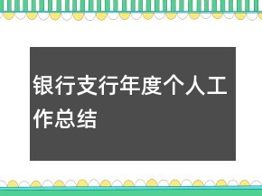 银行支行年度个人工作总结