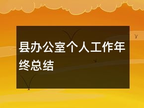 县办公室个人工作年终总结