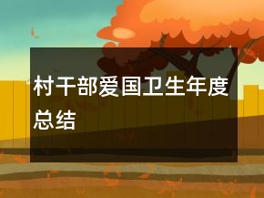 村干部爱国卫生年度总结