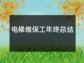 电梯维保工年终总结