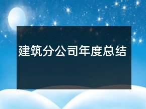 建筑分公司年度总结