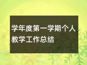 学年度第一学期个人教学工作总结