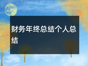 财务年终总结个人总结