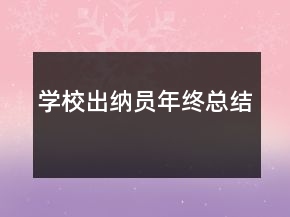 学校出纳员年终总结