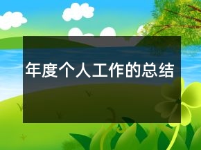 年度个人工作的总结