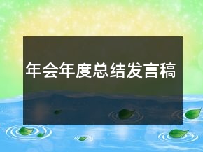 年会年度总结发言稿