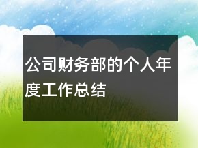 公司财务部的个人年度工作总结