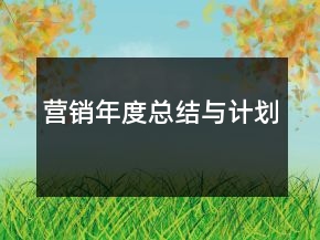 营销年度总结与计划