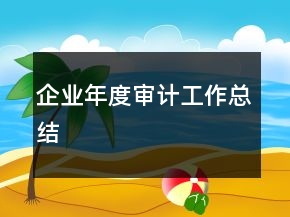 企业年度审计工作总结