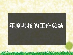 年度考核的工作总结