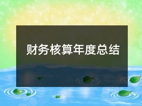 财务核算年度总结