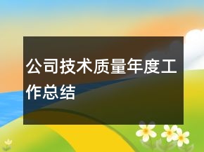 公司技术质量年度工作总结