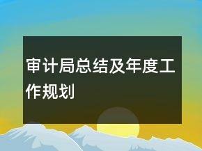 审计局总结及年度工作规划