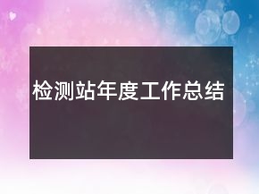 检测站年度工作总结
