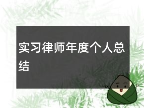 实习律师年度个人总结